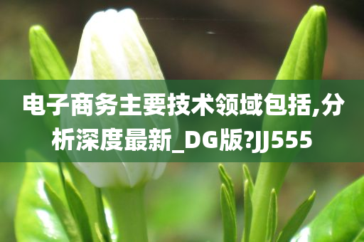 电子商务主要技术领域包括,分析深度最新_DG版?JJ555