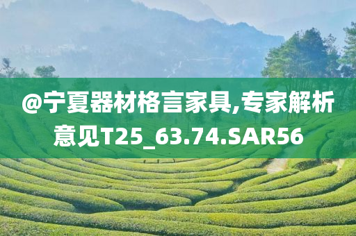 @宁夏器材格言家具,专家解析意见T25_63.74.SAR56
