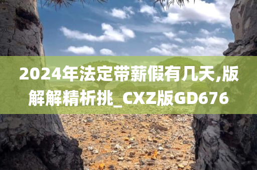 2024年法定带薪假有几天,版解解精析挑_CXZ版GD676
