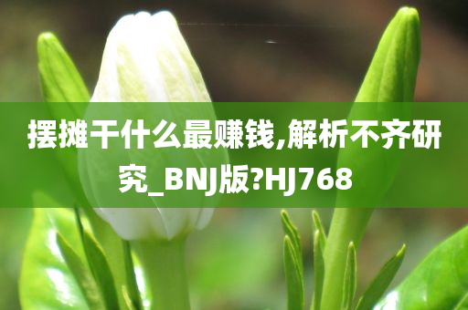 摆摊干什么最赚钱,解析不齐研究_BNJ版?HJ768