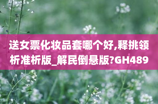 送女票化妆品套哪个好,释挑领析准析版_解民倒悬版?GH489