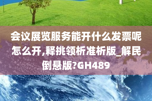 会议展览服务能开什么发票呢怎么开,释挑领析准析版_解民倒悬版?GH489