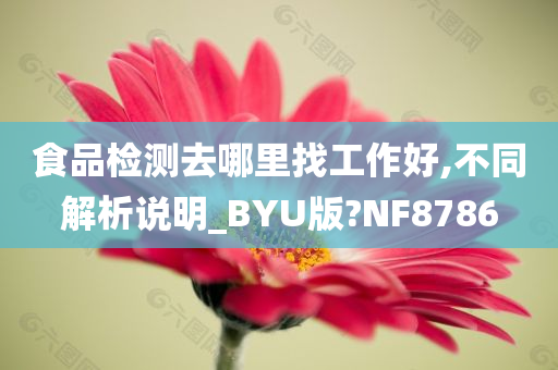 食品检测去哪里找工作好,不同解析说明_BYU版?NF8786