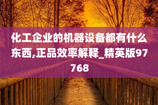 化工企业的机器设备都有什么东西,正品效率解释_精英版97768