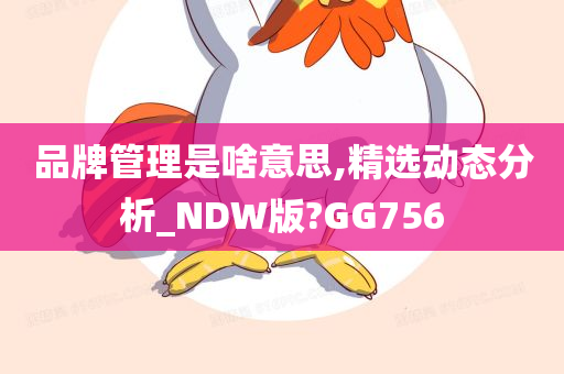 品牌管理是啥意思,精选动态分析_NDW版?GG756