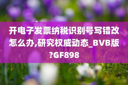 开电子发票纳税识别号写错改怎么办,研究权威动态_BVB版?GF898
