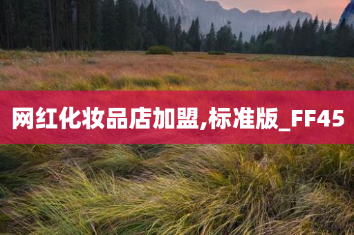 网红化妆品店加盟,标准版_FF45