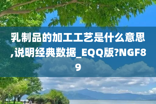 乳制品的加工工艺是什么意思,说明经典数据_EQQ版?NGF89