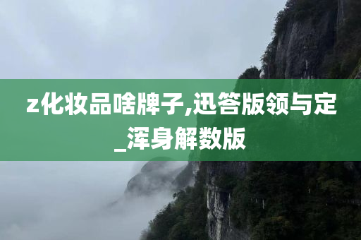 z化妆品啥牌子,迅答版领与定_浑身解数版