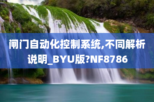 闸门自动化控制系统,不同解析说明_BYU版?NF8786
