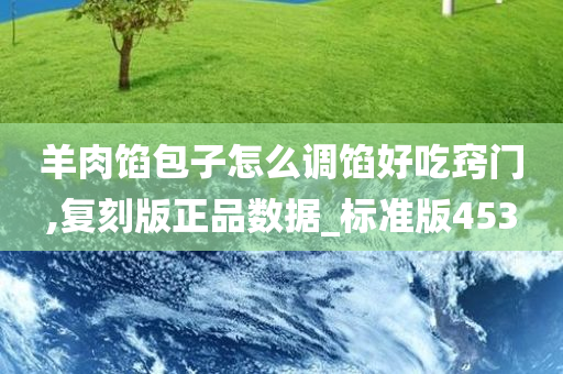 羊肉馅包子怎么调馅好吃窍门,复刻版正品数据_标准版453