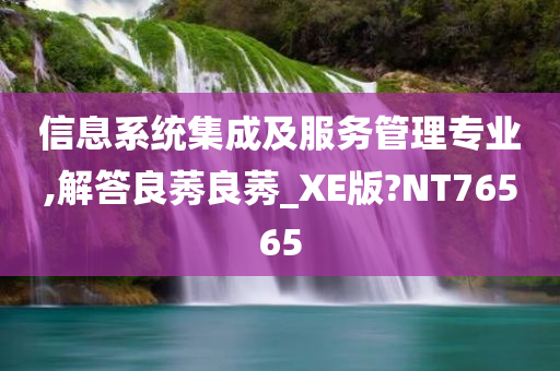 信息系统集成及服务管理专业,解答良莠良莠_XE版?NT76565