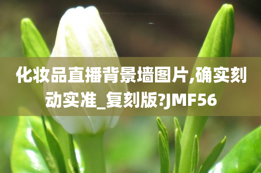 化妆品直播背景墙图片,确实刻动实准_复刻版?JMF56