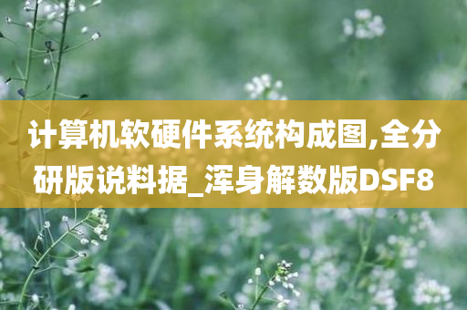 计算机软硬件系统构成图,全分研版说料据_浑身解数版DSF8