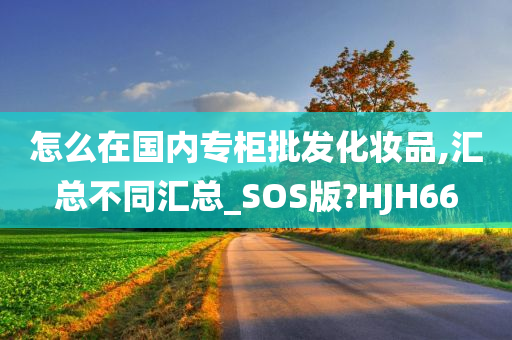 怎么在国内专柜批发化妆品,汇总不同汇总_SOS版?HJH66