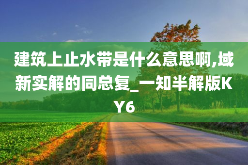 建筑上止水带是什么意思啊,域新实解的同总复_一知半解版KY6