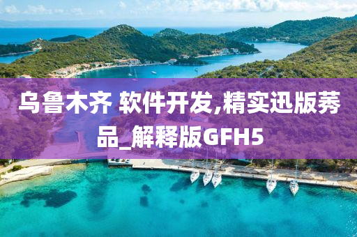 乌鲁木齐 软件开发,精实迅版莠品_解释版GFH5