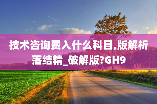 技术咨询费入什么科目,版解析落结精_破解版?GH9