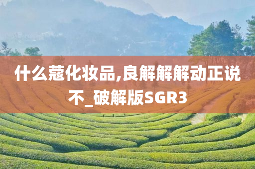 什么蔻化妆品,良解解解动正说不_破解版SGR3