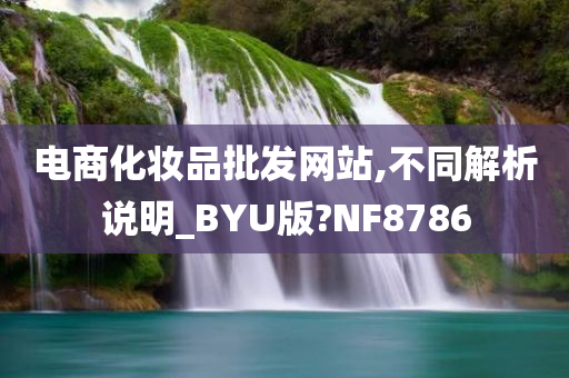 电商化妆品批发网站,不同解析说明_BYU版?NF8786