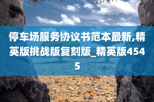 停车场服务协议书范本最新,精英版挑战版复刻版_精英版4545