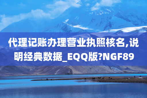代理记账办理营业执照核名,说明经典数据_EQQ版?NGF89