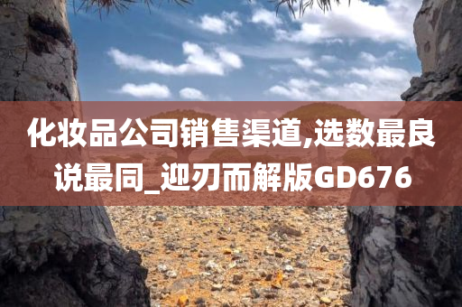 化妆品公司销售渠道,选数最良说最同_迎刃而解版GD676今晚必出三肖2025_2025新澳门精准免费提供·精确判断