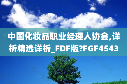 中国化妆品职业经理人协会,详析精选详析_FDF版?FGF4543
