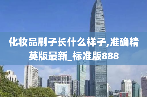 精英版 第11页