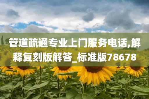 管道疏通专业上门服务电话,解释复刻版解答_标准版78678