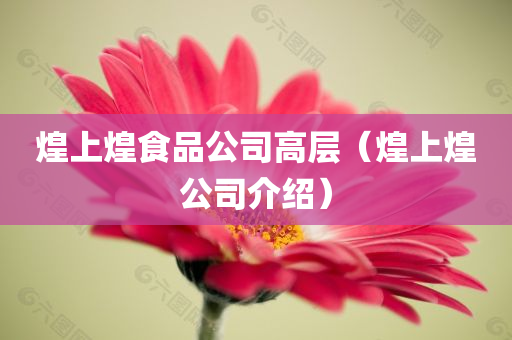 yangxinhong 第45页