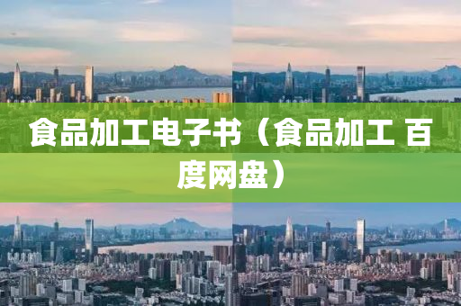 食品加工电子书（食品加工 百度网盘）