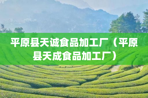 平原县天诚食品加工厂（平原县天成食品加工厂）