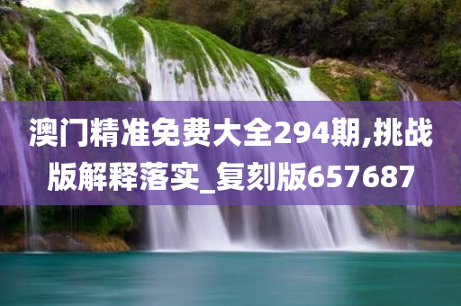 澳门精准免费大全294期,挑战版解释落实_复刻版657687