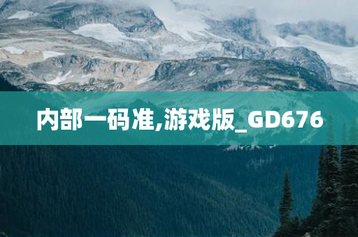 内部一码准,游戏版_GD676