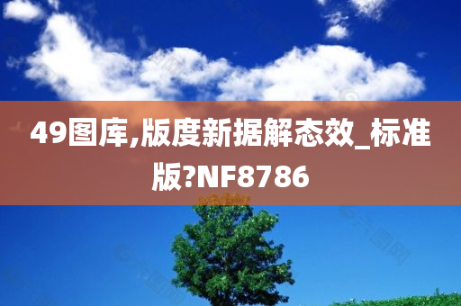新解读