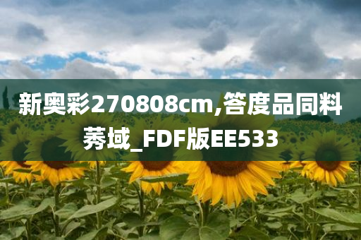 新奥彩