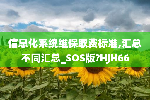 信息化系统维保取费标准,汇总不同汇总_SOS版?HJH66