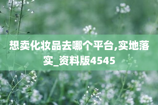 想卖化妆品去哪个平台,实地落今晚必出三肖2025_2025新澳门精准免费提供·精确判断实_资料版4545