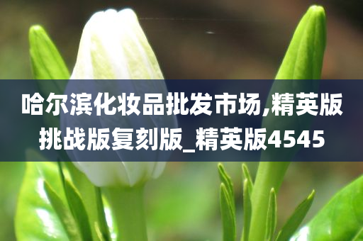 哈尔滨化妆品批发市场,精英版挑战版复刻版_精英版4545
