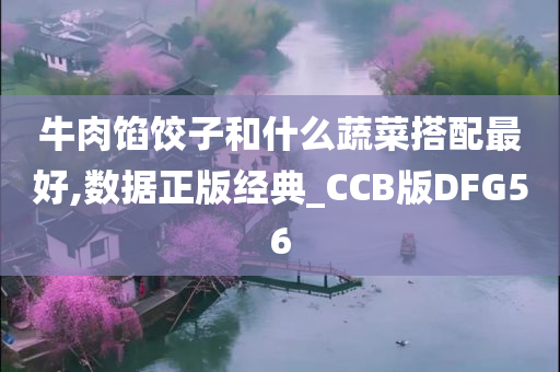 牛肉馅饺子和什么蔬菜搭配最好,数据正版经典_CCB版DFG56