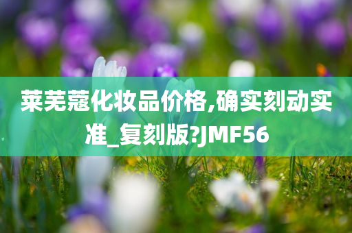 莱芜蔻化妆品价格,确实刻动实准_复刻版?JMF56