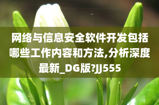 网络与信息安全软件开发包括哪些工作内容和方法,分析深度最新_DG版?JJ555