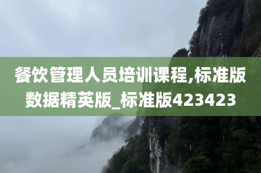 餐饮管理人员培训课程,标准版数据精英版_标准版423423