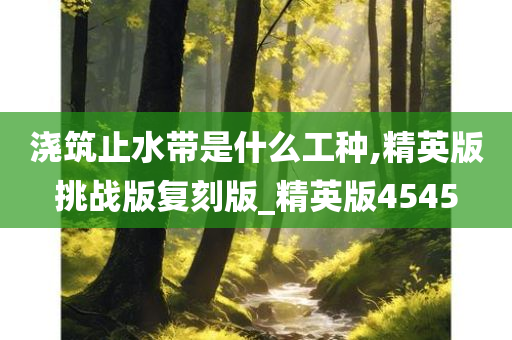 浇筑止水带是什么工种,精英版挑战版复刻版_精英版4545