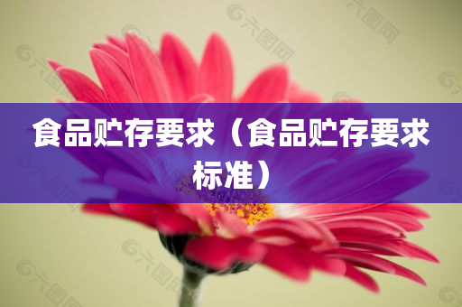 食品贮存要求（食品贮存要求标准）