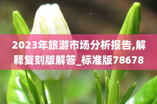 2023年旅游市场分析报告,解释复刻版解答_标准版78678