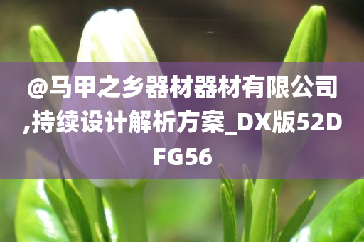 设计解析 第2页