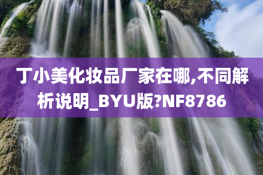 丁小美化妆品厂家在哪,不同解析说明_BYU版?NF8786
