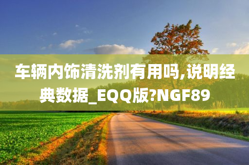 车辆内饰清洗剂有用吗,说明经典数据_EQQ版?NGF89